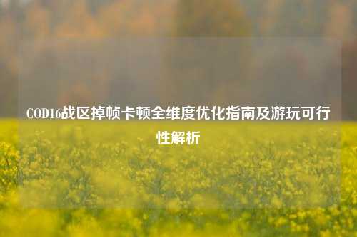 COD16战区掉帧卡顿全维度优化指南及游玩可行性解析