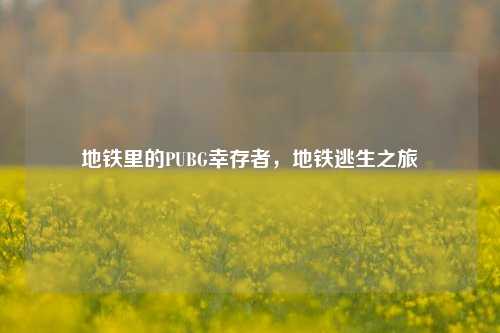 地铁里的PUBG幸存者,地铁逃生之旅