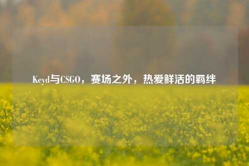 Keyd与CSGO，赛场之外，热爱鲜活的羁绊