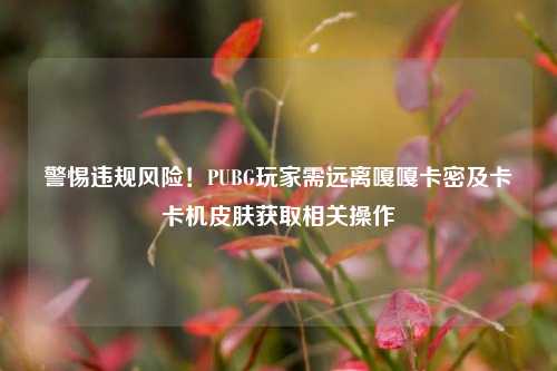 警惕违规风险!PUBG玩家需远离嘎嘎卡密及卡卡机皮肤获取相关操作