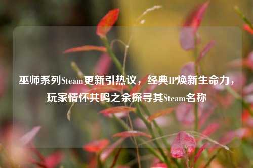 巫师系列Steam更新引热议,经典IP焕新生命力,玩家情怀共鸣之余探寻其Steam名称