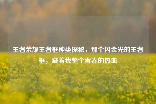 王者荣耀王者框种类探秘，那个闪金光的王者框，藏着我整个青春的热血