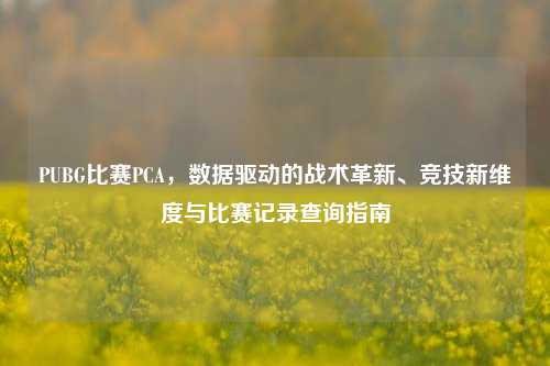 PUBG比赛PCA,数据驱动的战术革新、竞技新维度与比赛记录查询指南