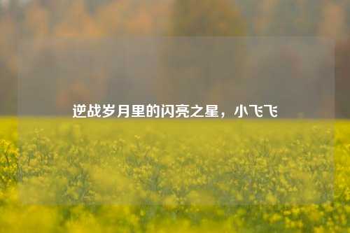 逆战岁月里的闪亮之星，小飞飞
