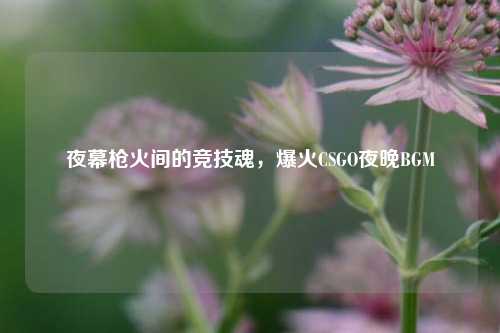 夜幕枪火间的竞技魂，爆火CSGO夜晚BGM