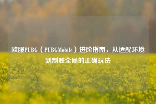 欧服PUBG（PUBGMobile）进阶指南，从适配环境到制胜全局的正确玩法