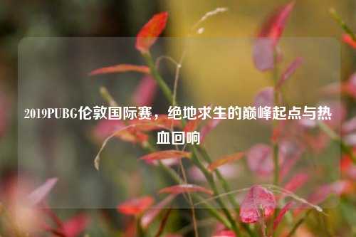 2019PUBG伦敦国际赛，绝地求生的巅峰起点与热血回响