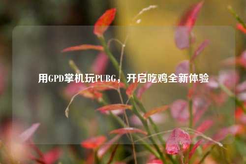用GPD掌机玩PUBG，开启吃鸡全新体验