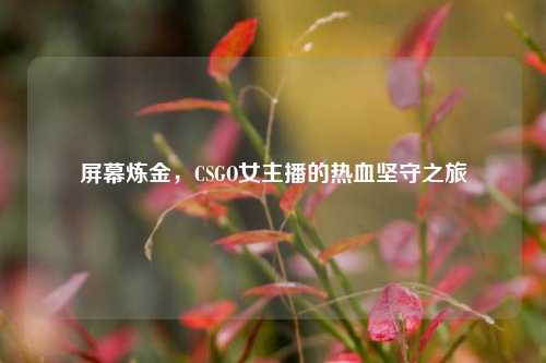 屏幕炼金,CSGO女主播的热血坚守之旅