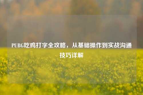 PUBG吃鸡打字全攻略,从基础操作到实战沟通技巧详解