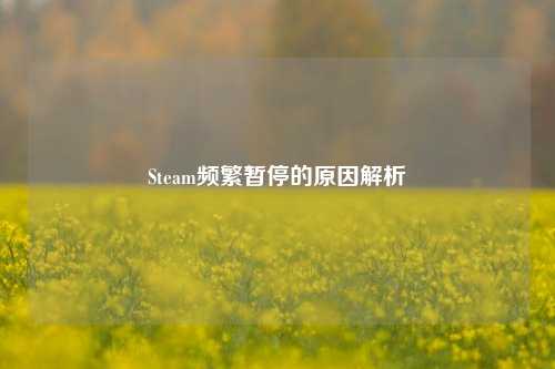 Steam频繁暂停的原因解析
