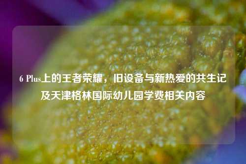 6 Plus上的王者荣耀，旧设备与新热爱的共生记及天津格林国际幼儿园学费相关内容