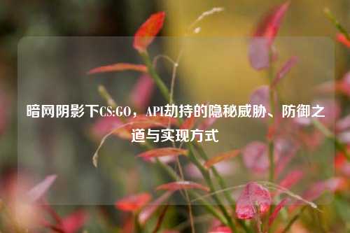 暗网阴影下CS:GO，API劫持的隐秘威胁、防御之道与实现方式