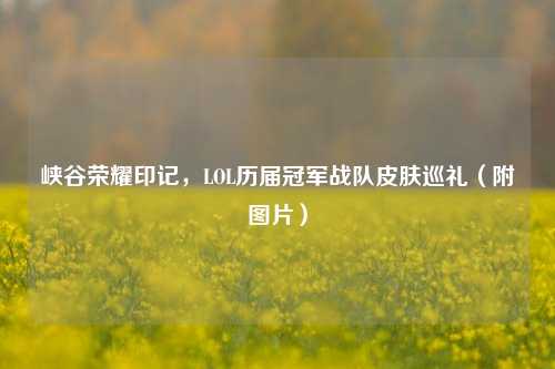 峡谷荣耀印记，LOL历届冠军战队皮肤巡礼（附图片）