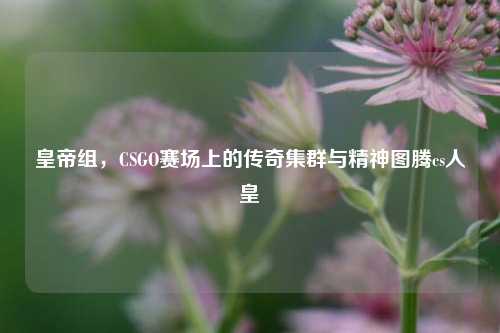 皇帝组，CSGO赛场上的传奇集群与精神图腾cs人皇