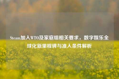 Steam加入WTO及家庭组相关要求，数字娱乐全球化新里程碑与准入条件解析