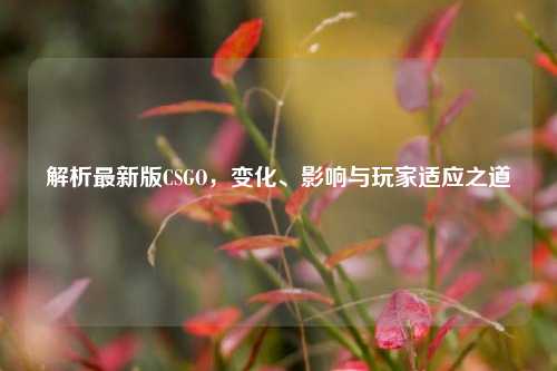 解析最新版CSGO，变化、影响与玩家适应之道