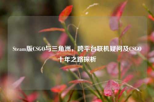 Steam版CSGO与三角洲，跨平台联机疑问及CSGO十年之路探析