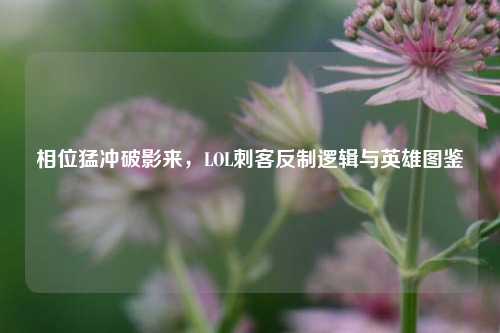 相位猛冲破影来，LOL刺客反制逻辑与英雄图鉴