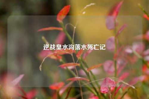 逆战臭水沟落水死亡记