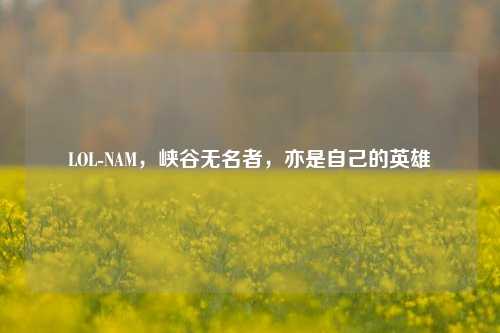 LOL-NAM，峡谷无名者，亦是自己的英雄