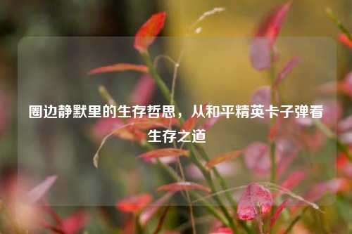 圈边静默里的生存哲思,从和平精英卡子弹看生存之道