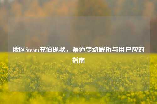 俄区Steam充值现状，渠道变动解析与用户应对指南