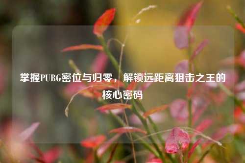 掌握PUBG密位与归零,解锁远距离狙击之王的核心密码