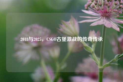 2018与2025，CSGO古堡激战的传奇传承