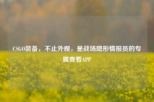 CSGO装备,不止外观,是战场隐形情报员的专属查看APP