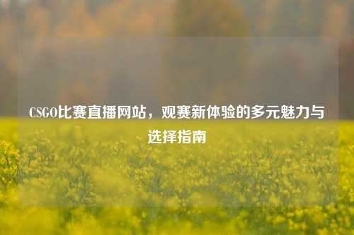 CSGO比赛直播网站，观赛新体验的多元魅力与选择指南