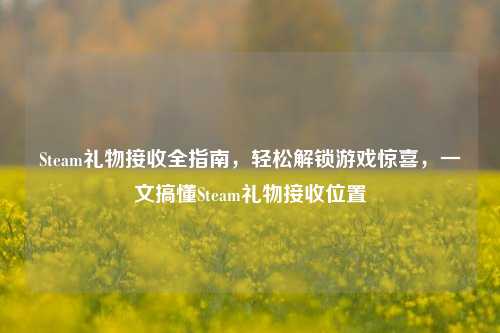 Steam礼物接收全指南，轻松解锁游戏惊喜，一文搞懂Steam礼物接收位置