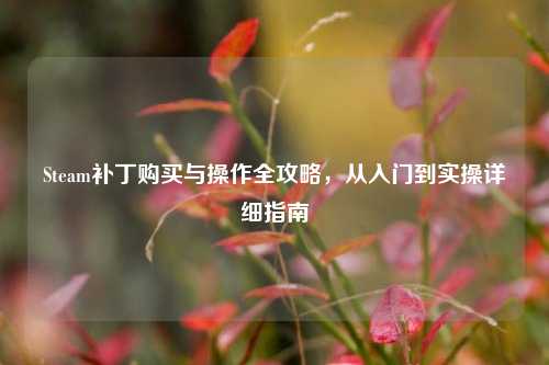 Steam补丁购买与操作全攻略，从入门到实操详细指南
