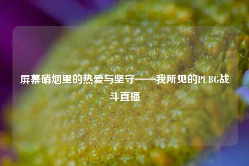 屏幕硝烟里的热爱与坚守——我所见的PUBG战斗直播