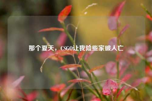 那个夏天,CSGO让我险些家破人亡