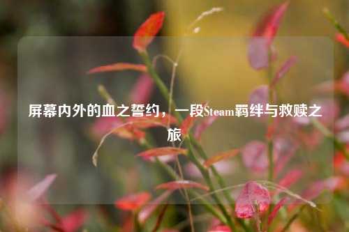 屏幕内外的血之誓约,一段Steam羁绊与救赎之旅