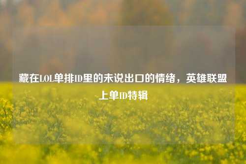 藏在LOL单排ID里的未说出口的情绪，英雄联盟上单ID特辑