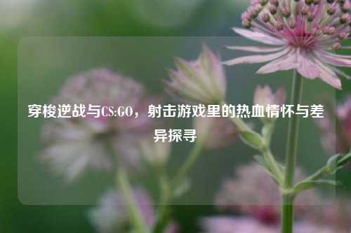 穿梭逆战与CS:GO，射击游戏里的热血情怀与差异探寻