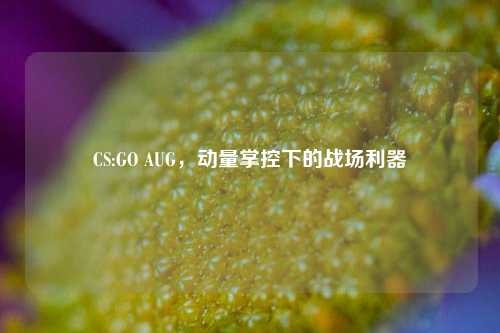 CS:GO AUG,动量掌控下的战场利器