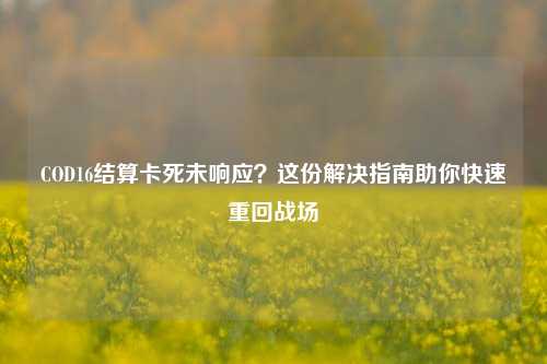 COD16结算卡死未响应？这份解决指南助你快速重回战场