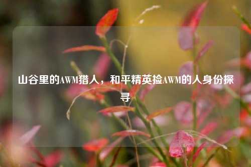 山谷里的AWM猎人，和平精英捡AWM的人身份探寻