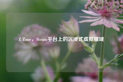 Z Zone,Steam平台上的沉浸式虚拟疆域