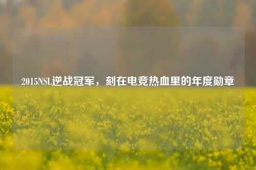 2015NSL逆战冠军,刻在电竞热血里的年度勋章