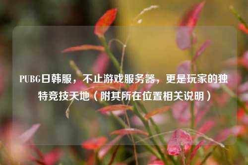 PUBG日韩服，不止游戏服务器，更是玩家的独特竞技天地（附其所在位置相关说明）
