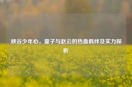 峡谷少年心，童子与赵云的热血羁绊及实力探析