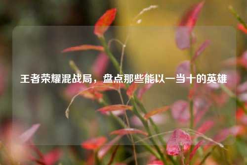 王者荣耀混战局，盘点那些能以一当十的英雄