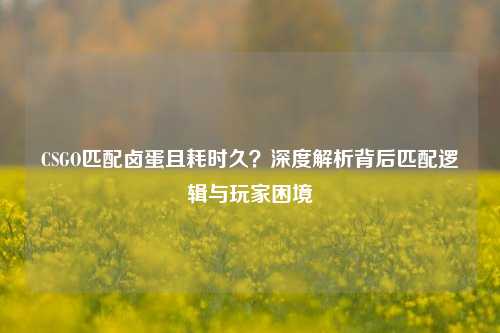 CSGO匹配卤蛋且耗时久？深度解析背后匹配逻辑与玩家困境