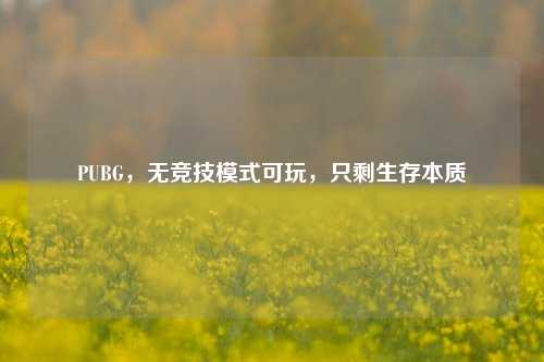 PUBG,无竞技模式可玩,只剩生存本质