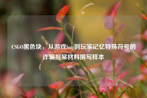 CSGO黑色块，从游戏bug到玩家记忆特殊符号的诈骗报案材料撰写样本