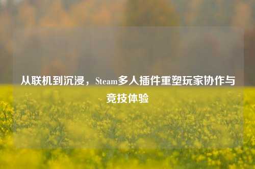 从联机到沉浸,Steam多人插件重塑玩家协作与竞技体验